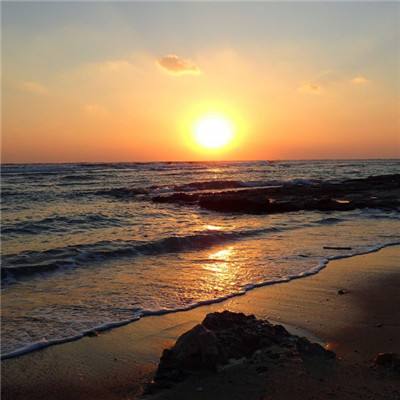 英雄联盟外围押注官网