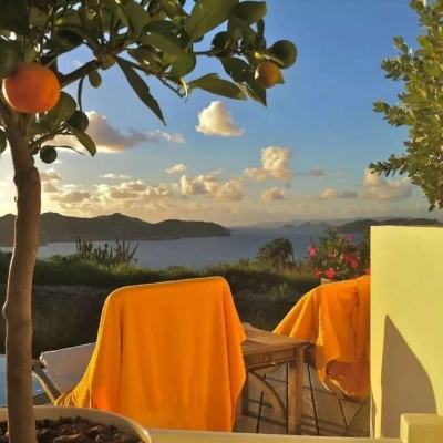 亿博app官网首页