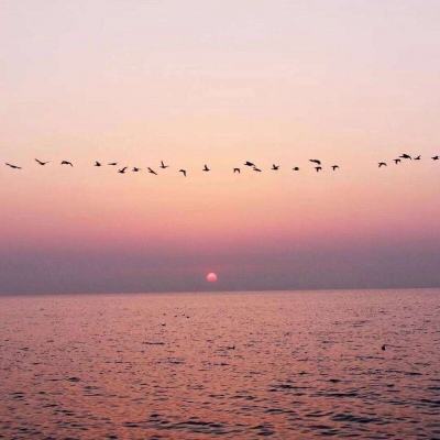 28网站手机app下载