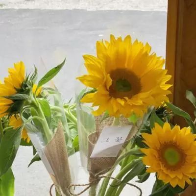 b体育官方体育app