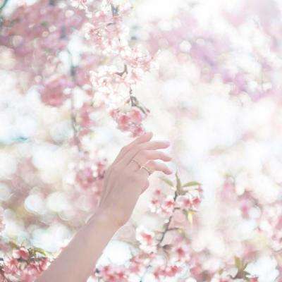 押注篮球的app下载手机版