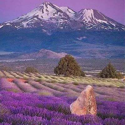 im电竞官方网站入口·官方网站